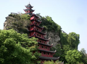 忠县,重庆市,作文,开头