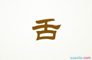 风的声音作文开头和结尾
