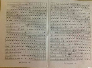 有关亲情和成长作文600字作文开头和结尾