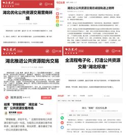 政务公开政务服务工作调研报告(人事政务公开调研报告)