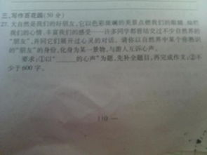 优美大自然声音的作文开头