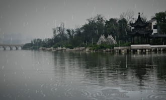 雨中场景作文开头