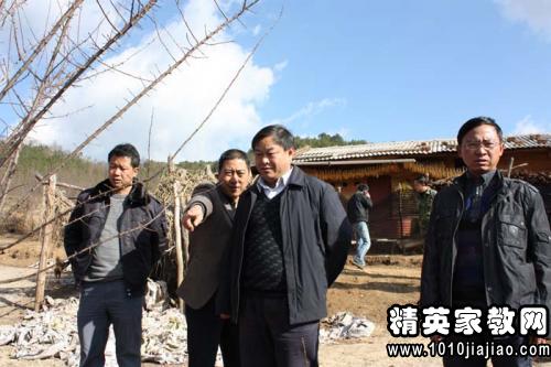 乡镇林业调研报告模板(乡镇林业调研报告)