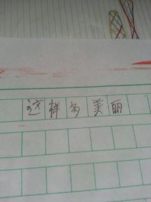 作文600字初中开头