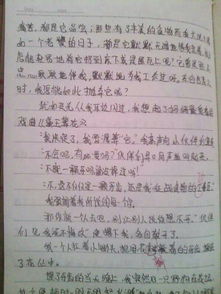 写童趣事作文的开头怎么写