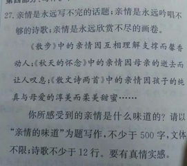 以诗歌形式开头关于采访的作文