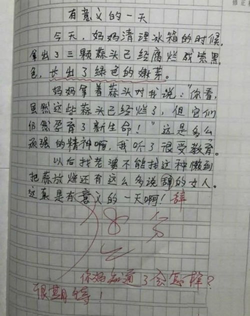 我的小老师500字作文开头结尾