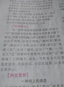 我与文明相遇作文开头结尾