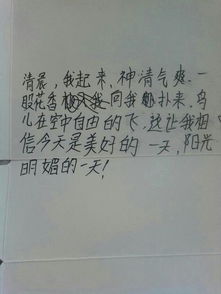 不平凡的一天作文开头,有趣的一天作文开头,平凡的一天作文开头