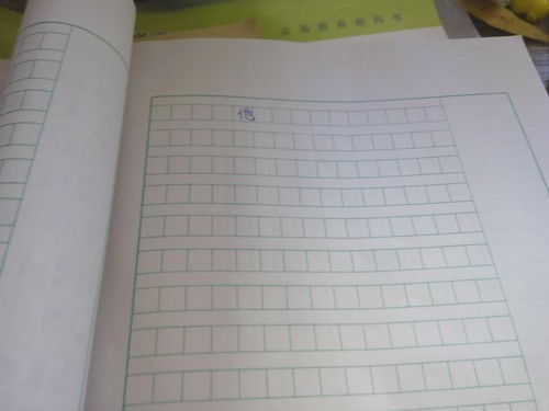 我真他600字作文开头