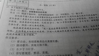 论原则作文800字作文议论文作文开头