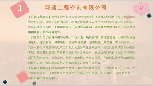 民非可行性报告(德国非移民签证的分析)