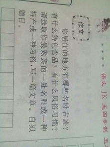 以文化古迹开头的作文