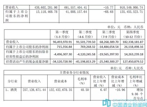 业绩报告(业绩报告格式)