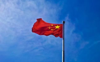 作文,自豪,开头,我为你