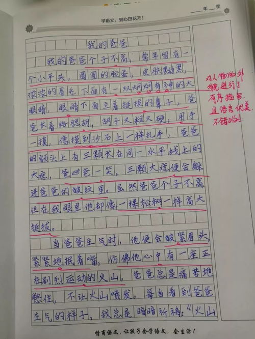 做糖葫芦的作文开头
