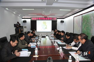 党建问题整改报告(党建问题整改方案)