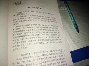 初一我们家作文600字作文开头