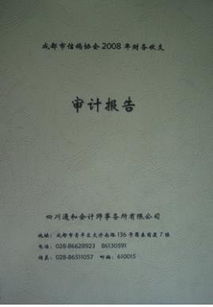 商场审计报告范文(商场审计报告范文)