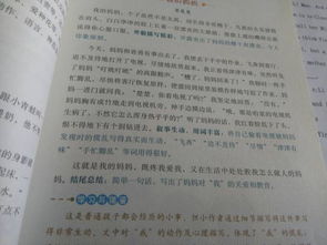 和妈妈散步的作文600字作文开头