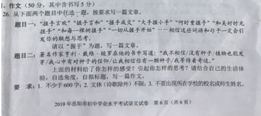 握手作文600字初三开头