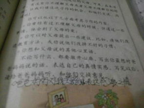 我真想妈妈作文600字作文开头