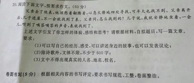 关于父亲的高中作文范文(关于父亲高中作文)