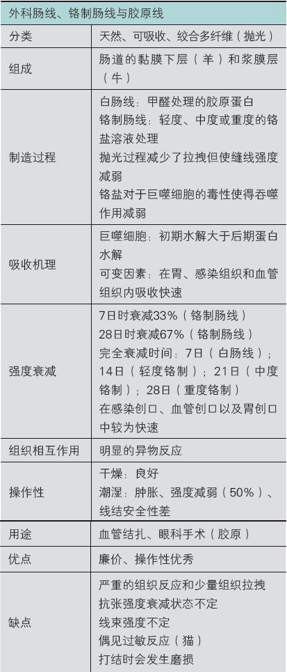个人优点和缺点总结(个人总结缺点和不足)
