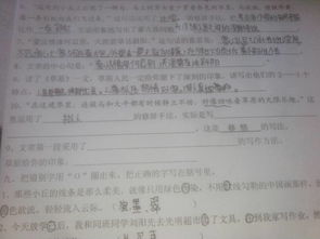 向你介绍老舍作文开头