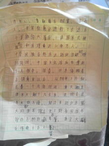 作文没有开头只用小标题