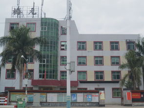 关于村支委会议记录(村支委会会议记录)