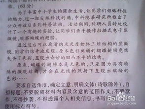 以一为开头的作文