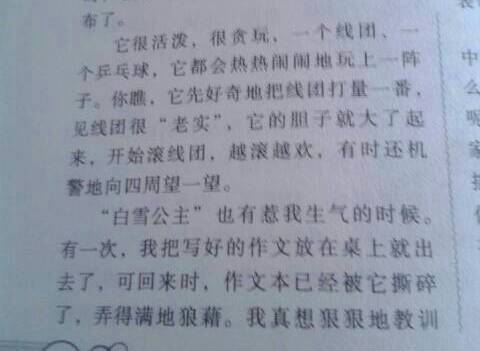 可爱的她开头作文开头