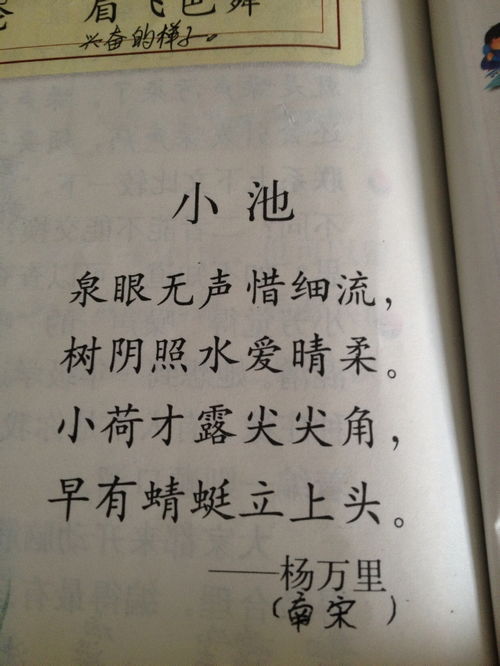 夏天的雨中风景600字作文开头