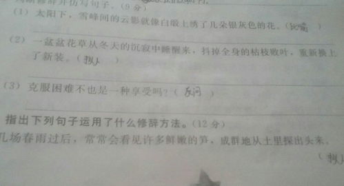 四级语文根据句子开头写作文