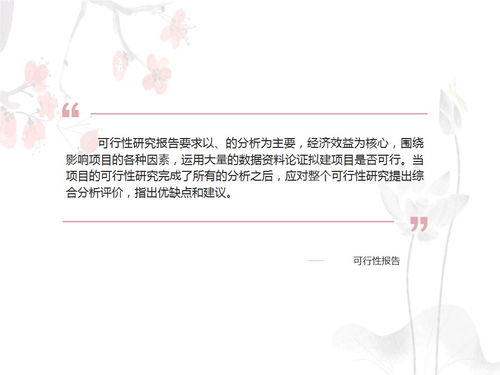 美丽乡村资金申请报告范文(美丽乡村资金申请报告)