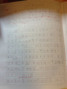 一瞬间我长大了作文开头80字