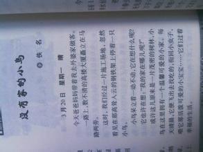 第一次开头作文600字作文