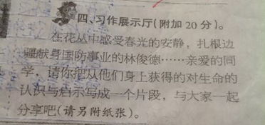 以生命为圆的作文800字作文开头