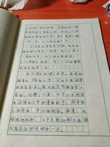 反思的作文开头和结尾怎么写100字