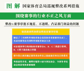 巡视整改实施方案(网站整改实施方案)