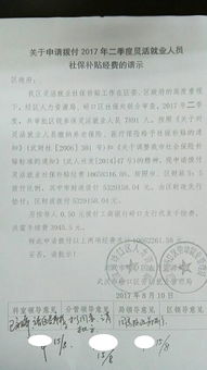 补助资金个人申请报告(项目补助资金申请报告)
