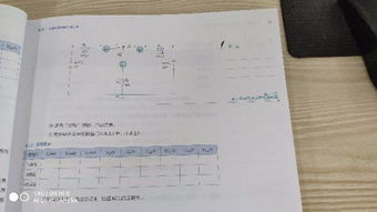 大学电路实验报告(电路实验报告要求)