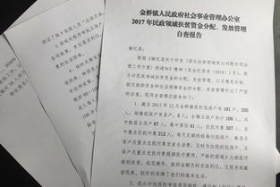 扶贫自查报告(扶贫资金自查报告)