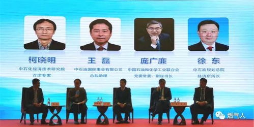 石油技术员研究的报告(石油技术员述职报告)