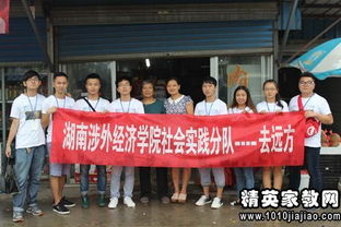大学生文明调研报告的范文(大学生文明调研报告的范文)
