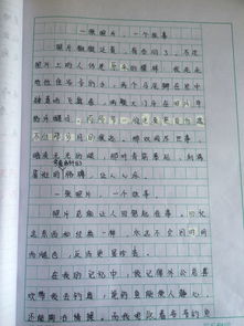 作文,开头,照片,故事