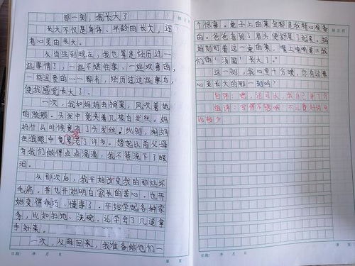 作文,五级,开头,长大了