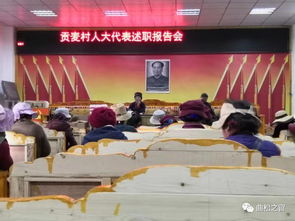 村书记县人大代表述职报告(村书记述职报告、村书记述职报告范文、村书记述职报告精选)