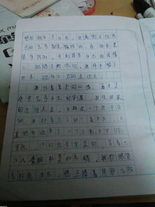 想起这件事我真感动作文600字作文开头